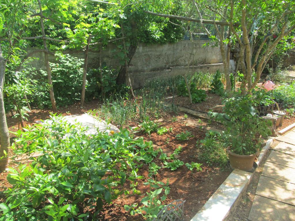 Apartment Artusi Pula Rum bild