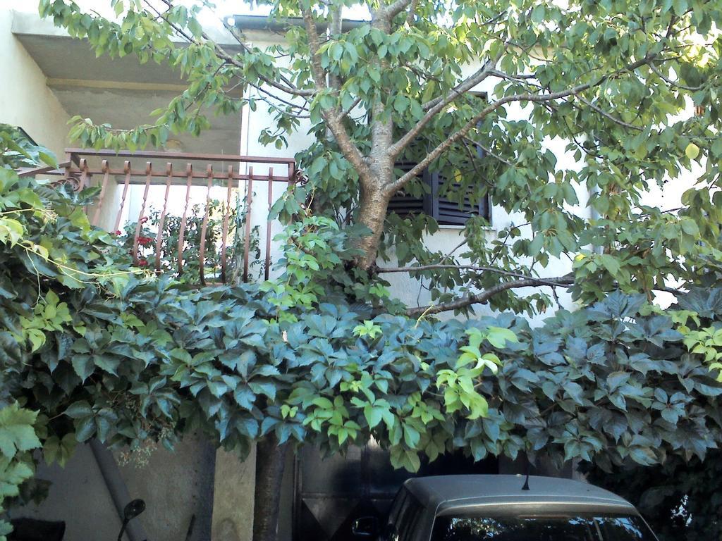 Apartment Artusi Pula Rum bild
